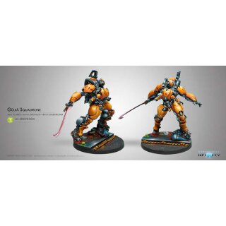 Yu Jing Guijia Squadrons