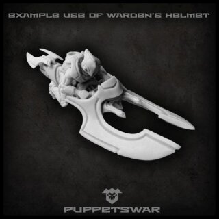 Warden helmets (5)