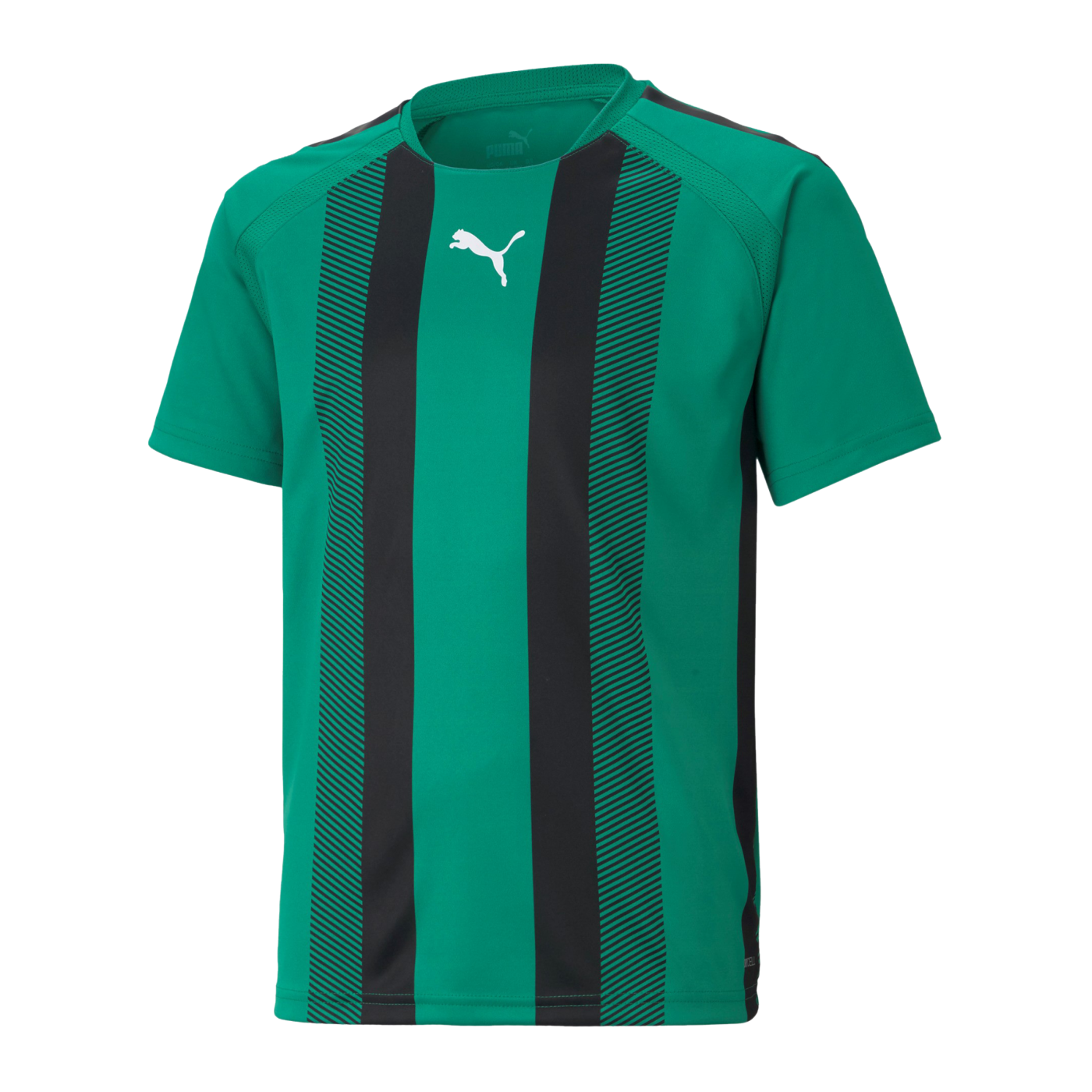 PUMA teamLIGA Striped Trikot Kids Grün Schwarz F05