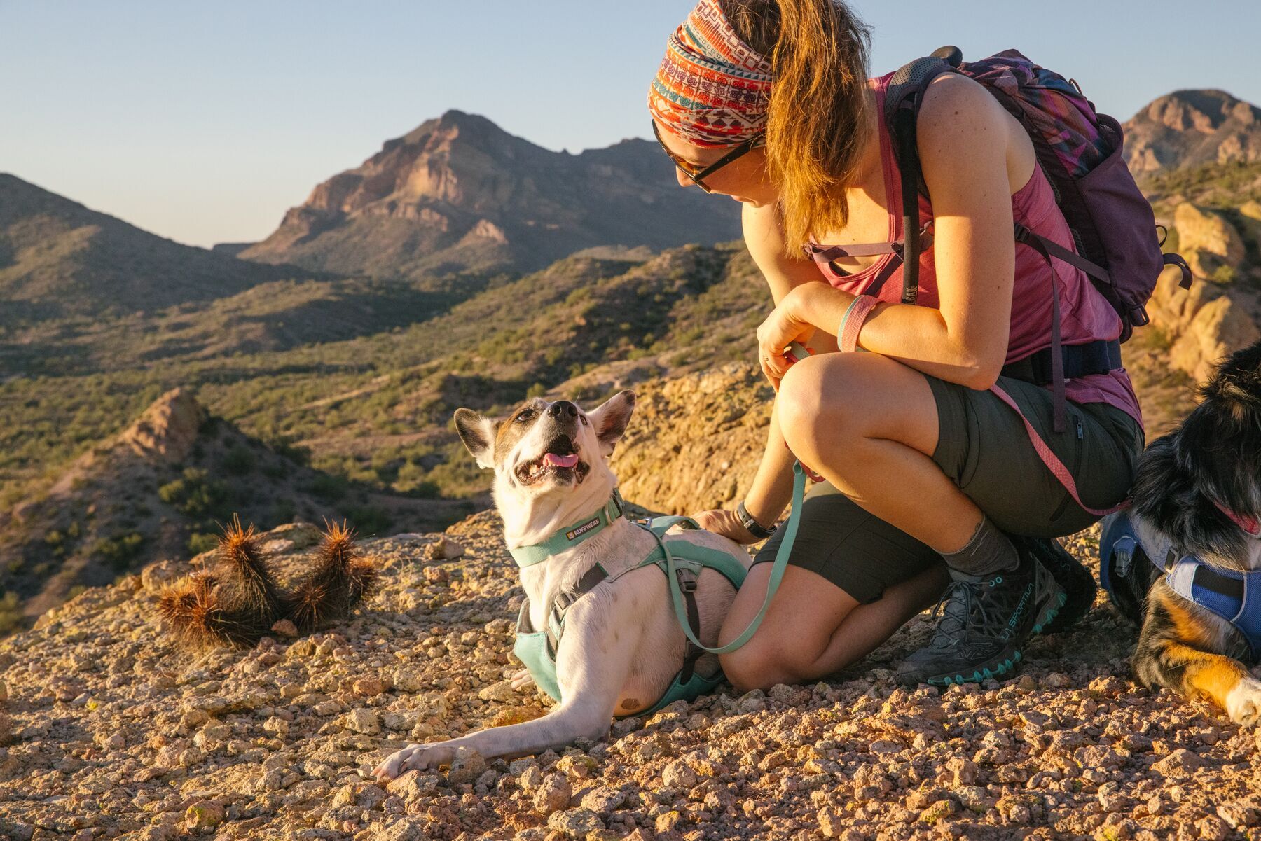 Ruffwear Hundegeschirre Ruffwear Swamp Cooler™ Geschirr grün L-XL