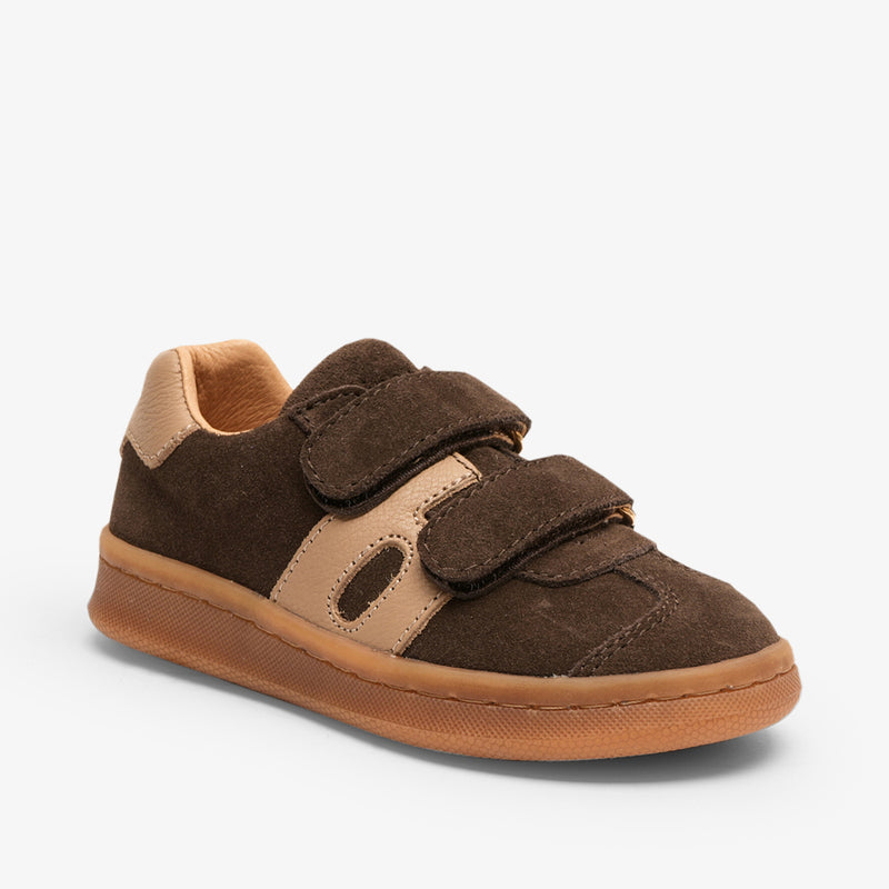 bay v dark brown - Braun