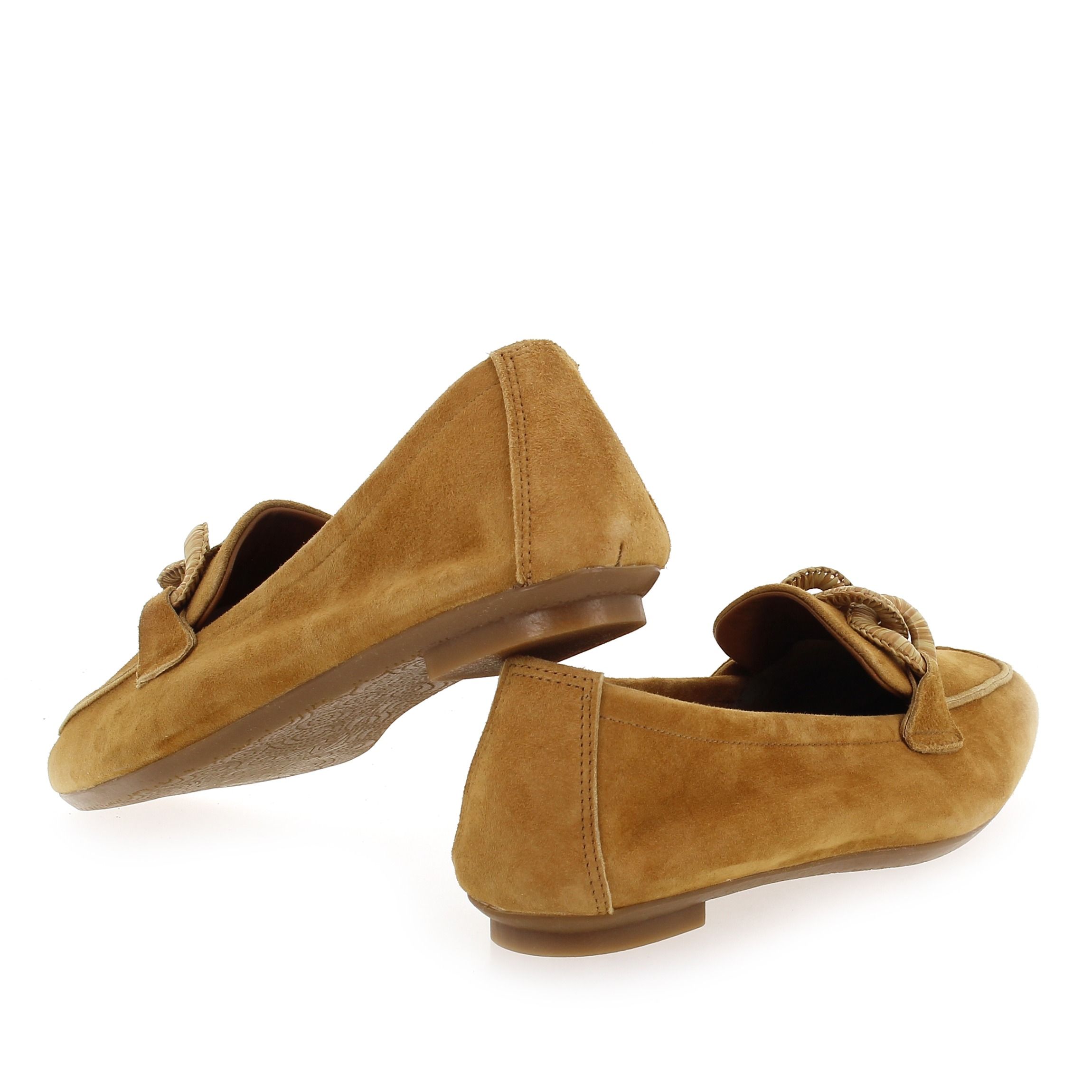 Reqins  HAMAYA - Camel