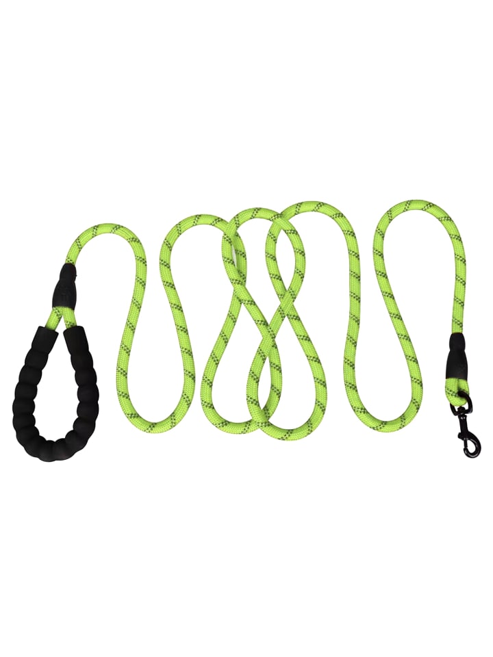 Intirilife Reflektierende Nylon Hundeleine 1.5m in Grün günstig kaufen onesize