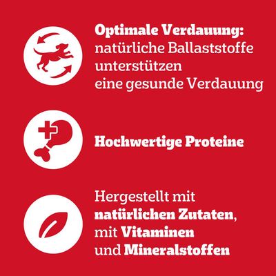 Pedigree Senior Frischebeutel Multipack Nassfutter für Hunde