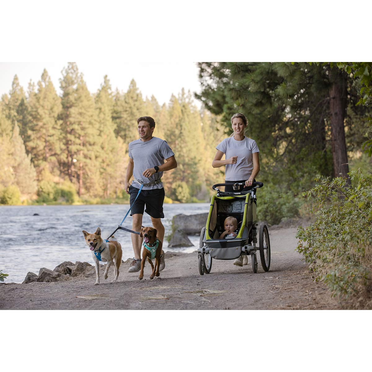 Ruffwear Trail Runner Leine günstig kaufen bei ZooRoyal