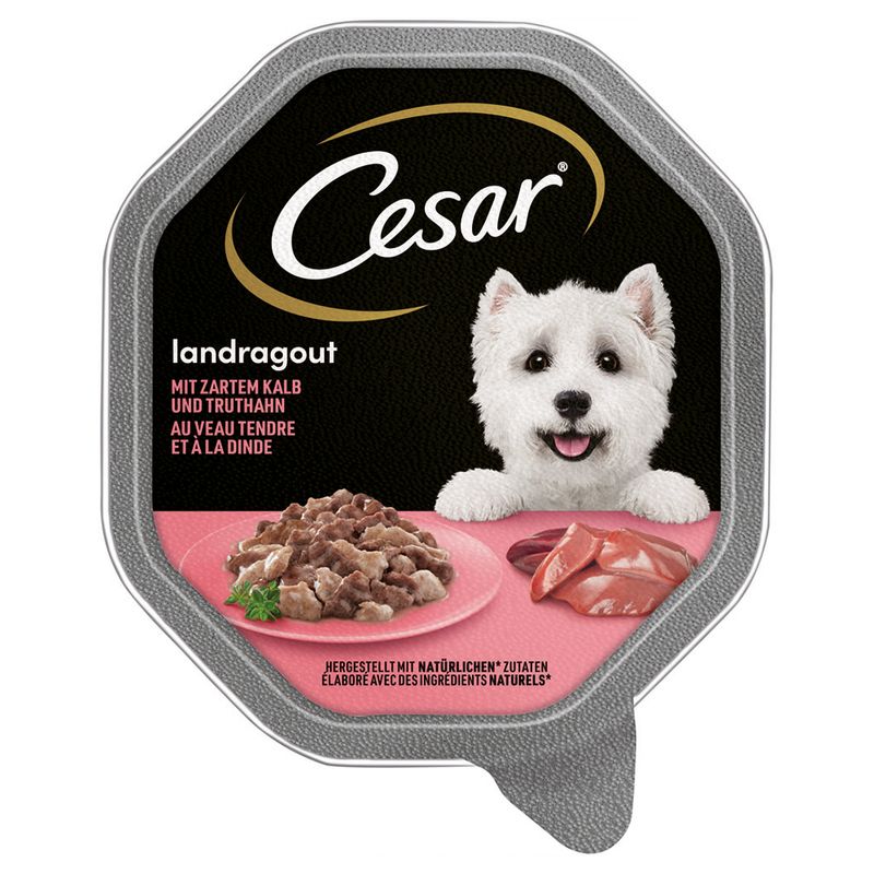 Cesar Schale 14 x 150 g
