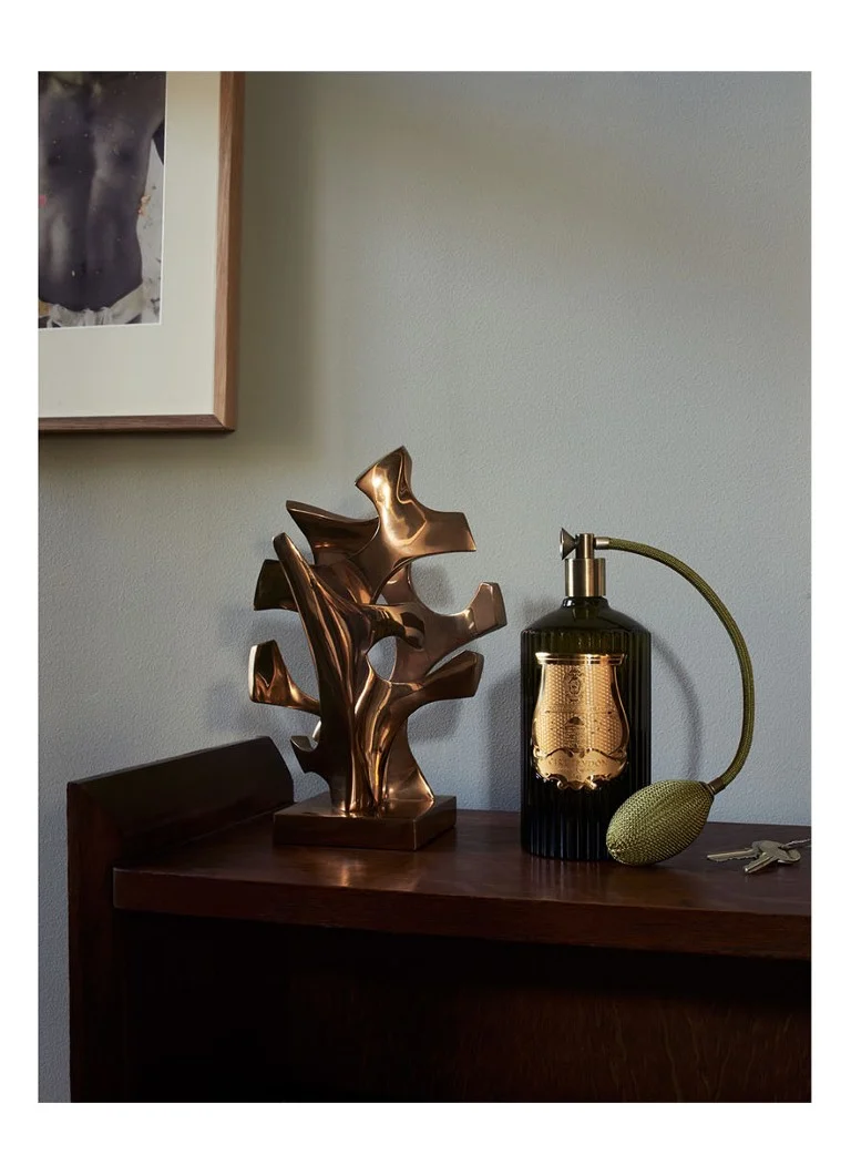 Ambientador Trudon Cyrnos 375 ml