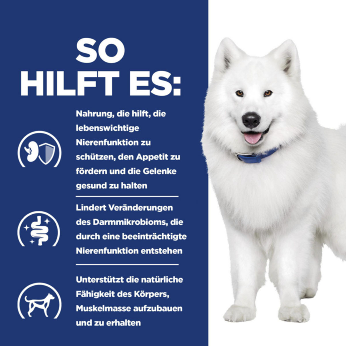 Hill's Prescription Diet k/d + Mobility Original 12kg