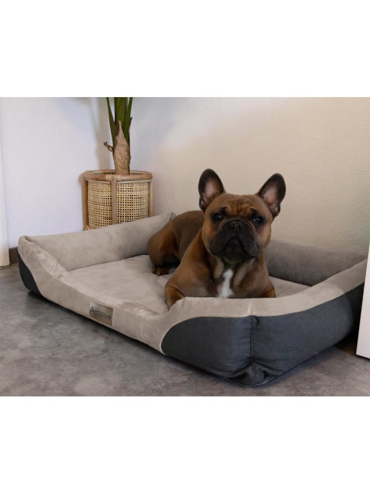 Aspero Hundebett Hanko in Beige günstig kaufen