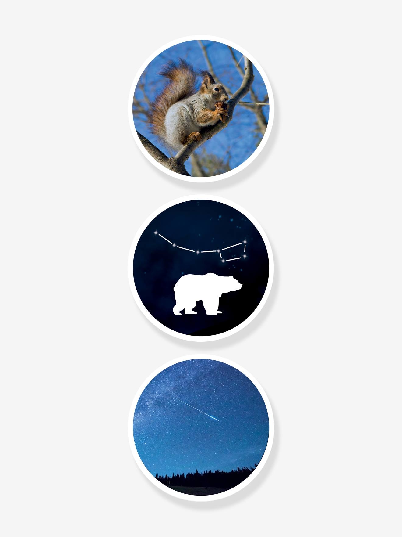 Mini Sciences