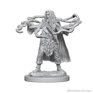 Human Male Sorcerer: D&D Nolzurs Marvelous Unpainted Minis