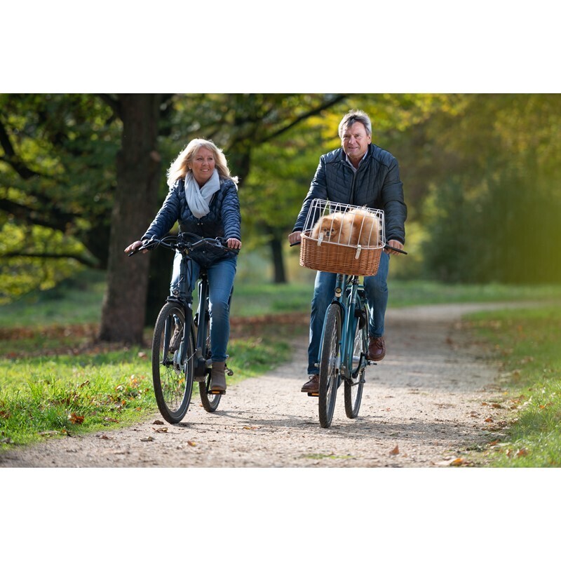 AniOne Fahrradzubehör AniOne Fahrradkorb Willow für Fahrradlenker