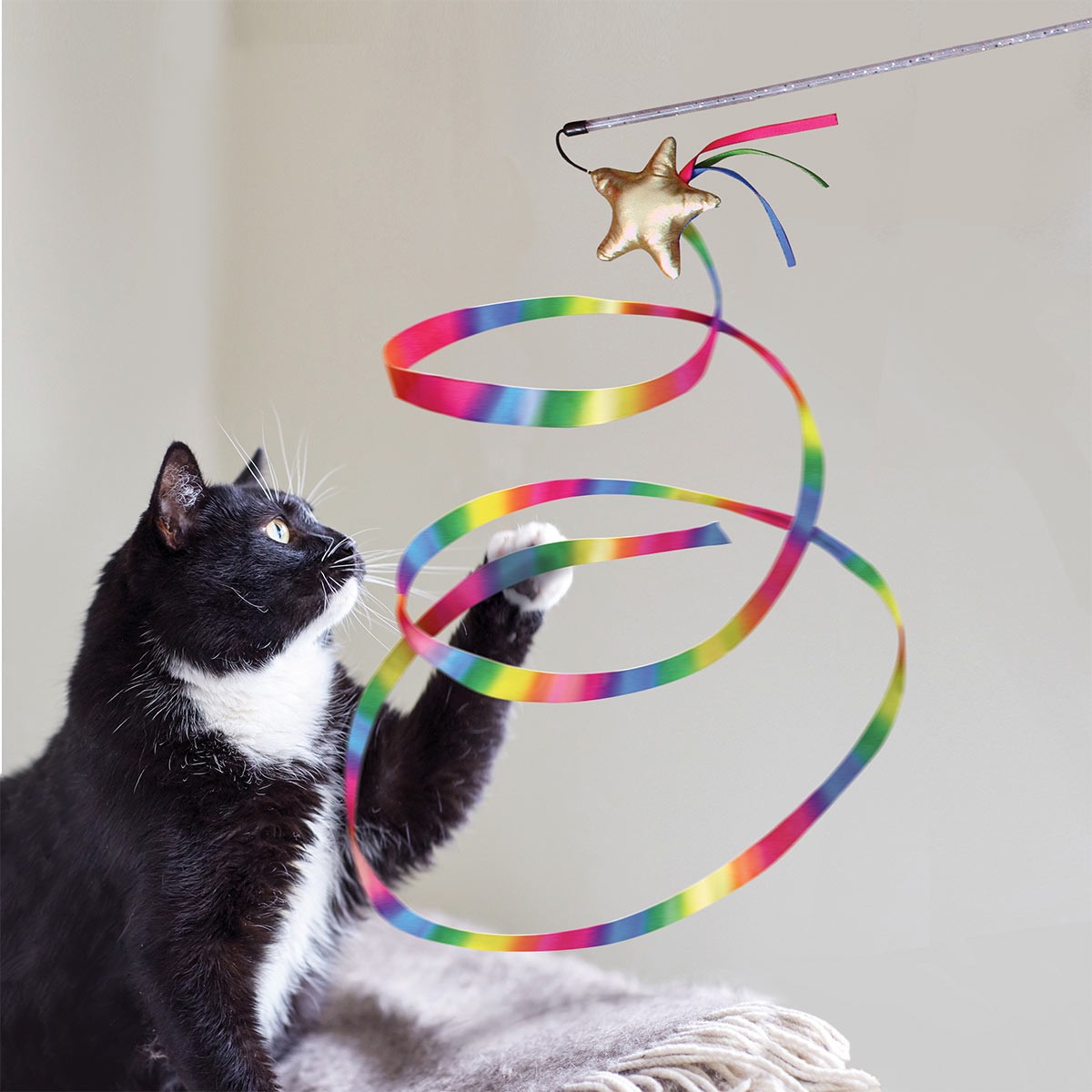 KONG Katzenangel Zauberstab Stellar günstig kaufen