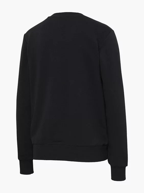 Champion Sweatshirt