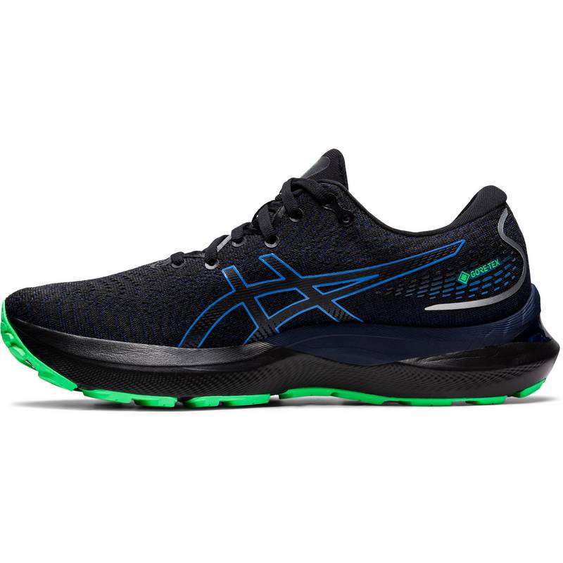 ASICS GEL-CUMULUS 24 GTX Laufschuhe Herren