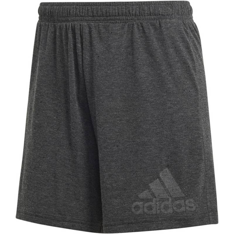 adidas WINRS Funktionsshorts Damen
