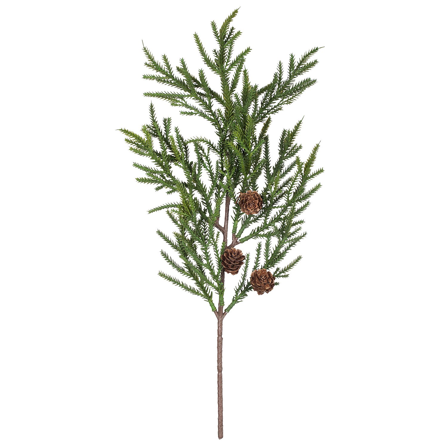 Scheinzypressenzweig mit Zapfen, 42 cm