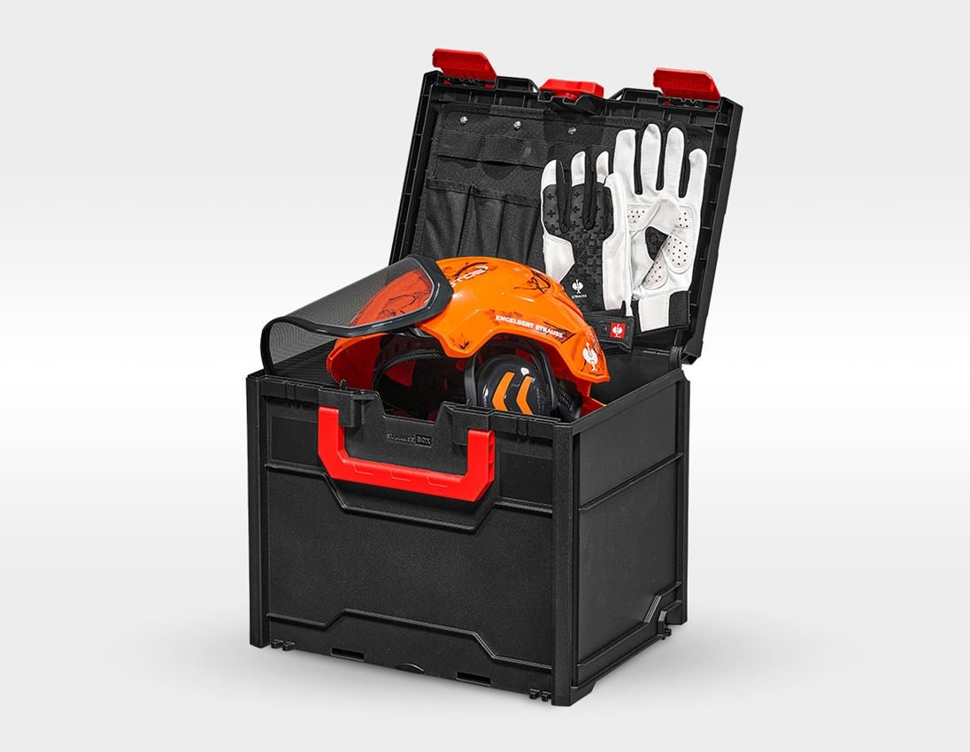 SET: Forsthelm Protos + STRAUSSbox 340 midi