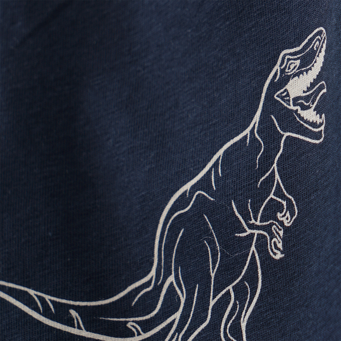 2 Jungen Boxer mit Dino-Motiv