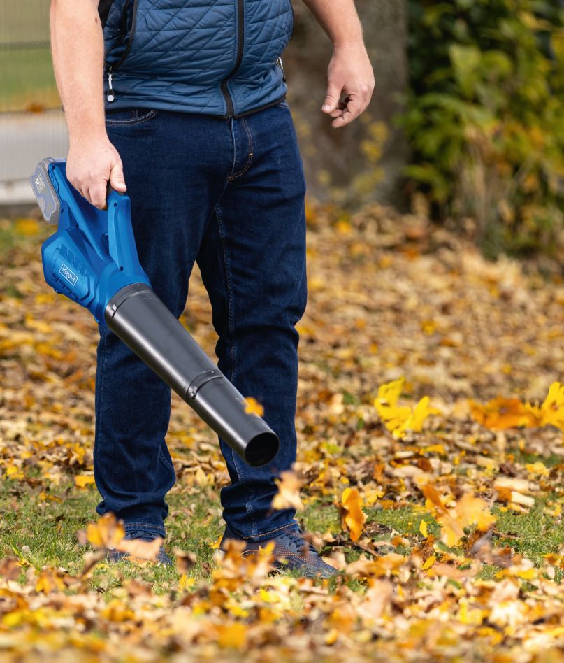 Scheppach 5912104400 Cordless Leaf Blower C-BL700-X-Set S