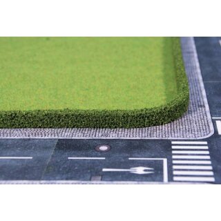 Thujahecken 25 x 7 mm je 50 cm lang (2 Stk.)
