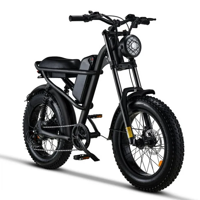 Ridingtimes Z8 Snow Ebikes for Adults, 20 Fat Tire, 1500W Motor, 28Mph, 6 Layer Full Suspension