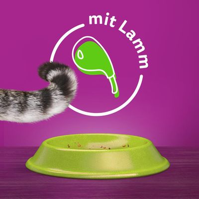 Whiskas 1+ Lamm