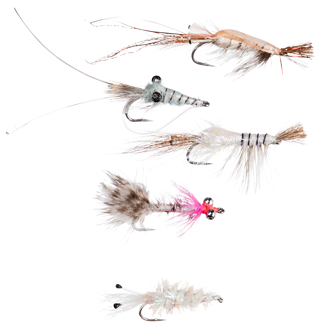 Dragon Fliegen-Sortiment Premium (Saltwater S)
