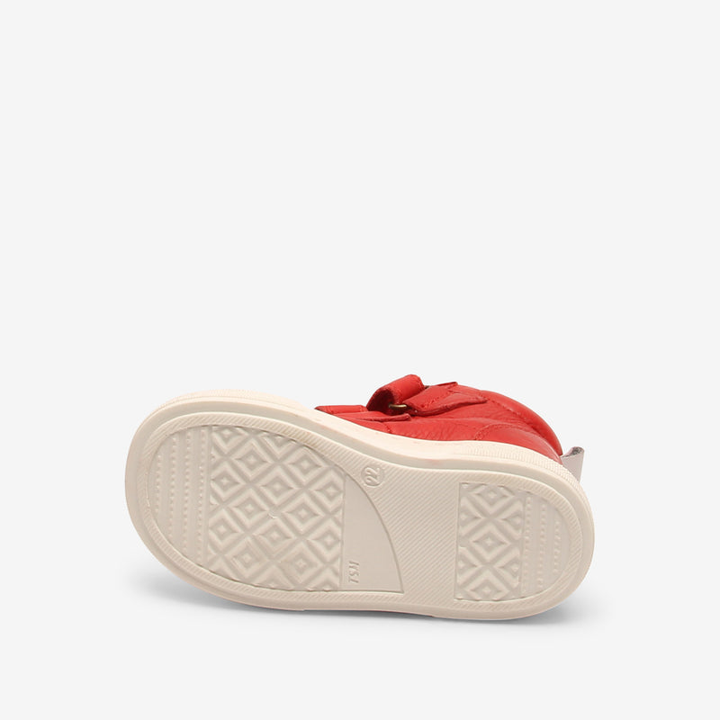 keo red - Rot
