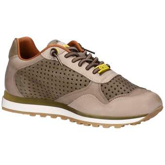 Cetti Sneaker in grün