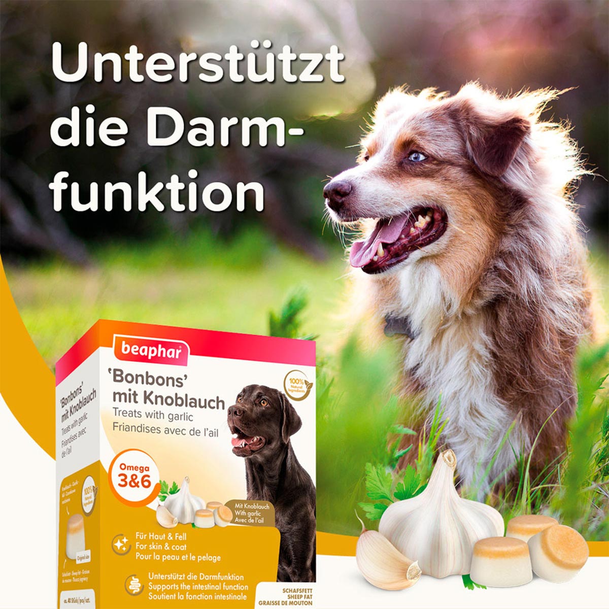 beaphar Knoblauch Bonbons 245g günstig kaufen bei ZooRoyal
