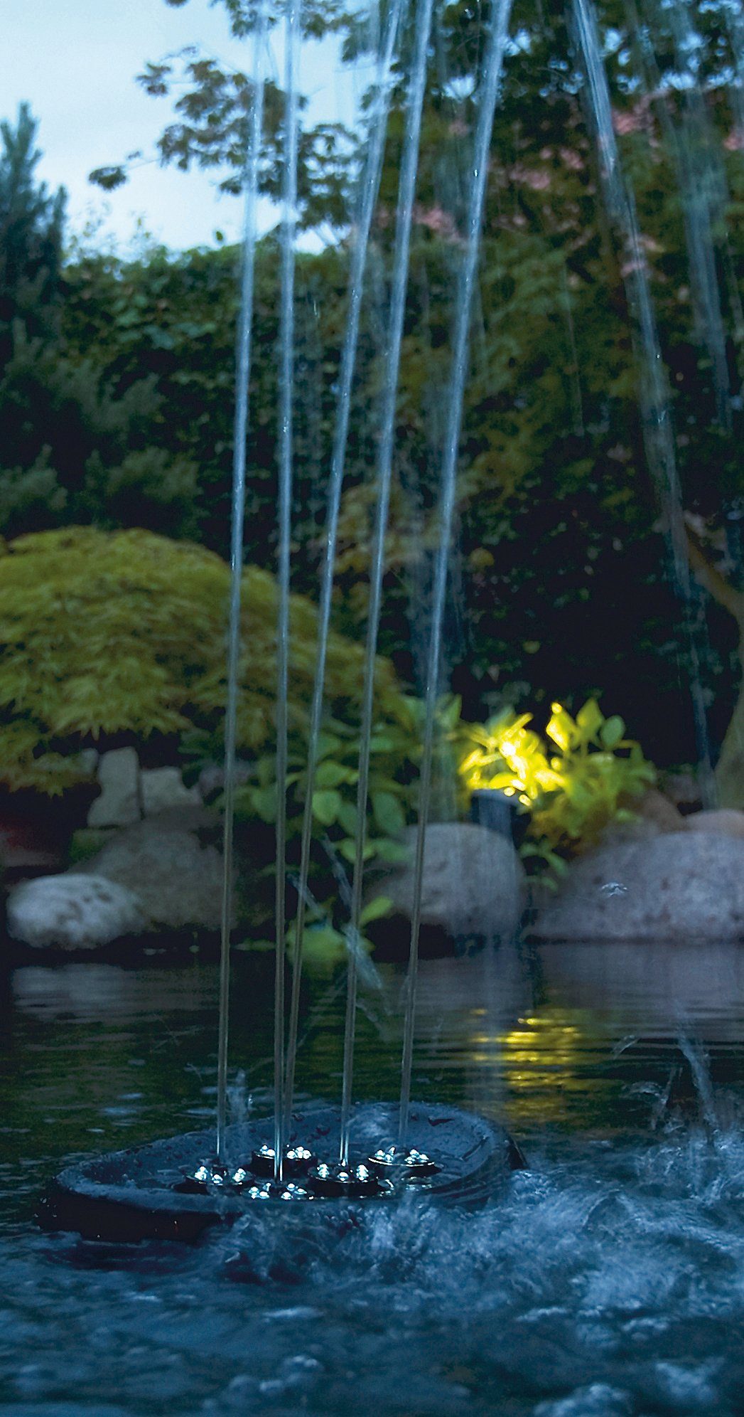 OASE Wasserspeier Water Starlet, BxLxH: 28,5x37,5x17,5 cm, mit LED-Beleuchtung