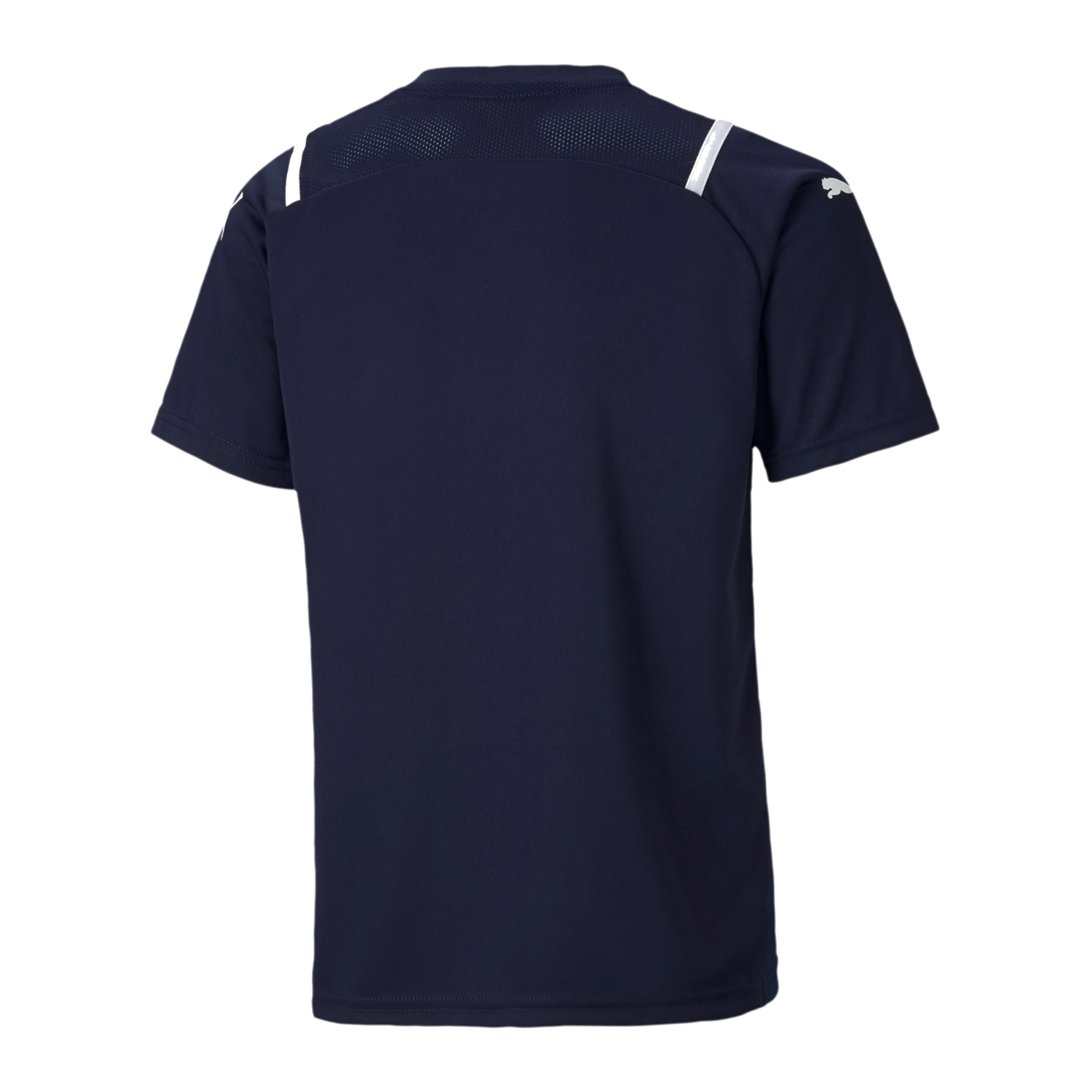 PUMA teamULTIMATE Trikot Kids Blau F06