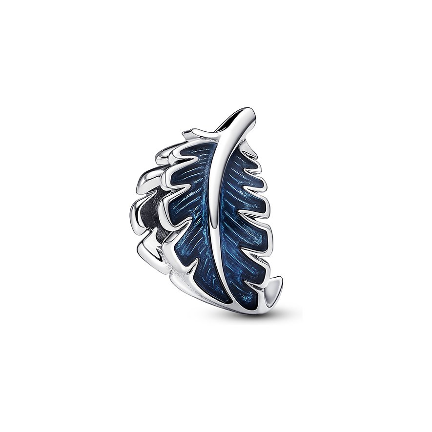 Pandora Charm Moments