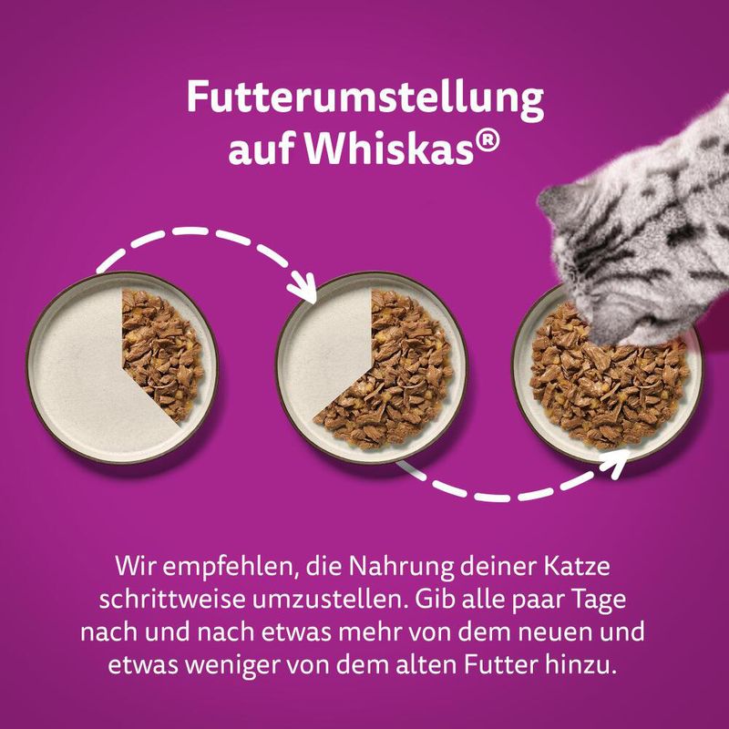 Jumbopack Whiskas Pure Delight Portionsbeutel 144 x 85 g | bitiba
