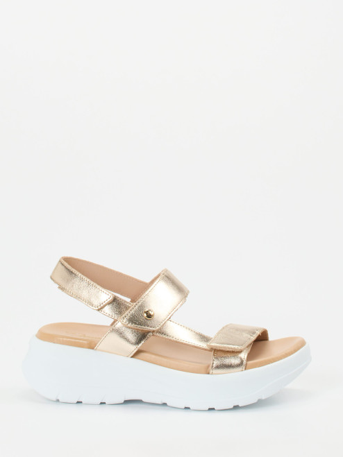 Plateau-Sandalette-12458890002 Panama Jack
