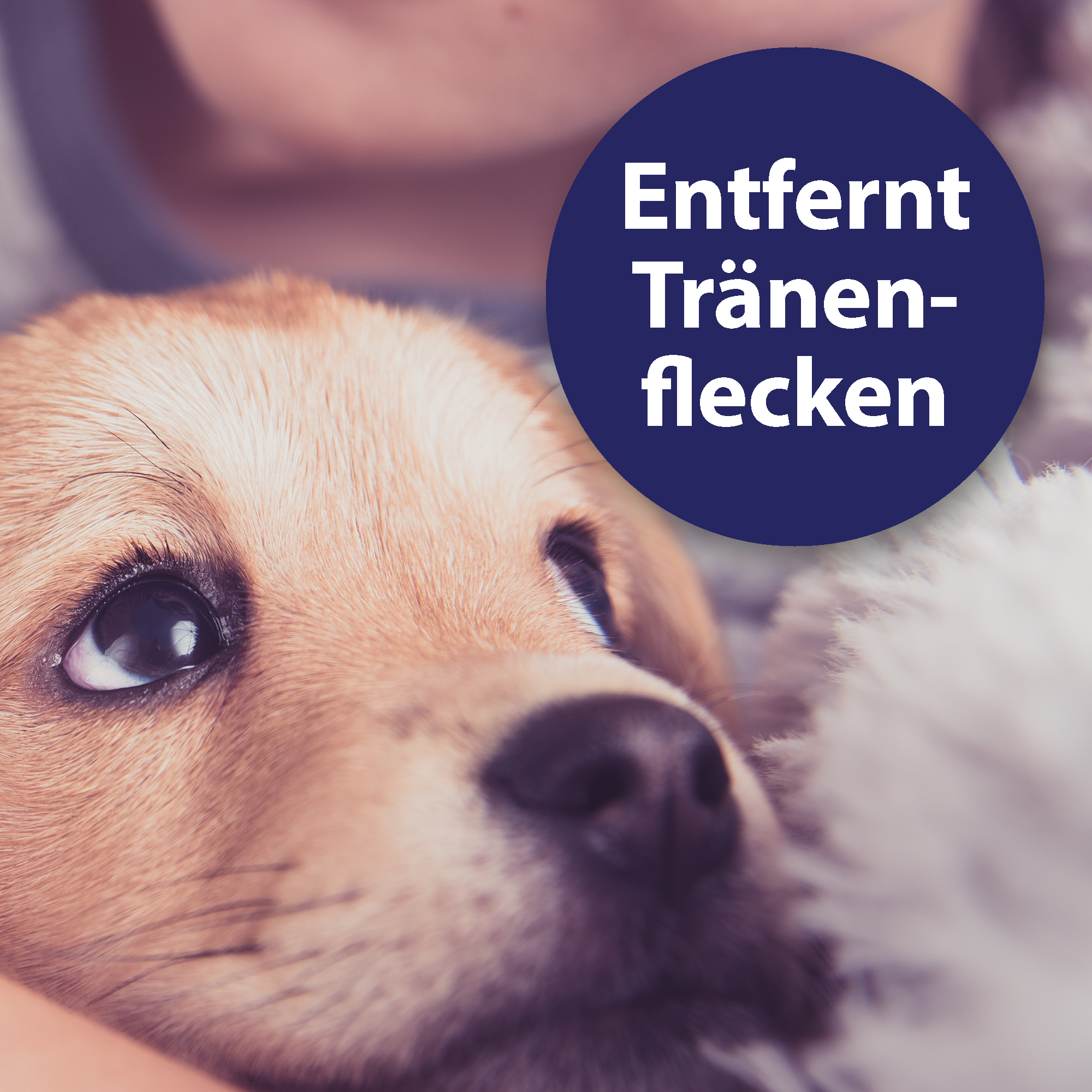 Canosept Augen- & Ohrenpflege Canosept Augenpflege für Hunde 120 ml