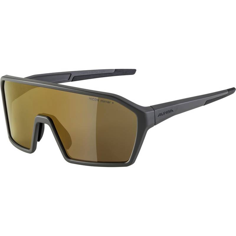ALPINA RAM HM+ Sportbrille