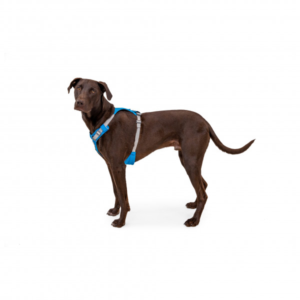 Ruffwear - Hi & Light Harness - Hundegeschirr