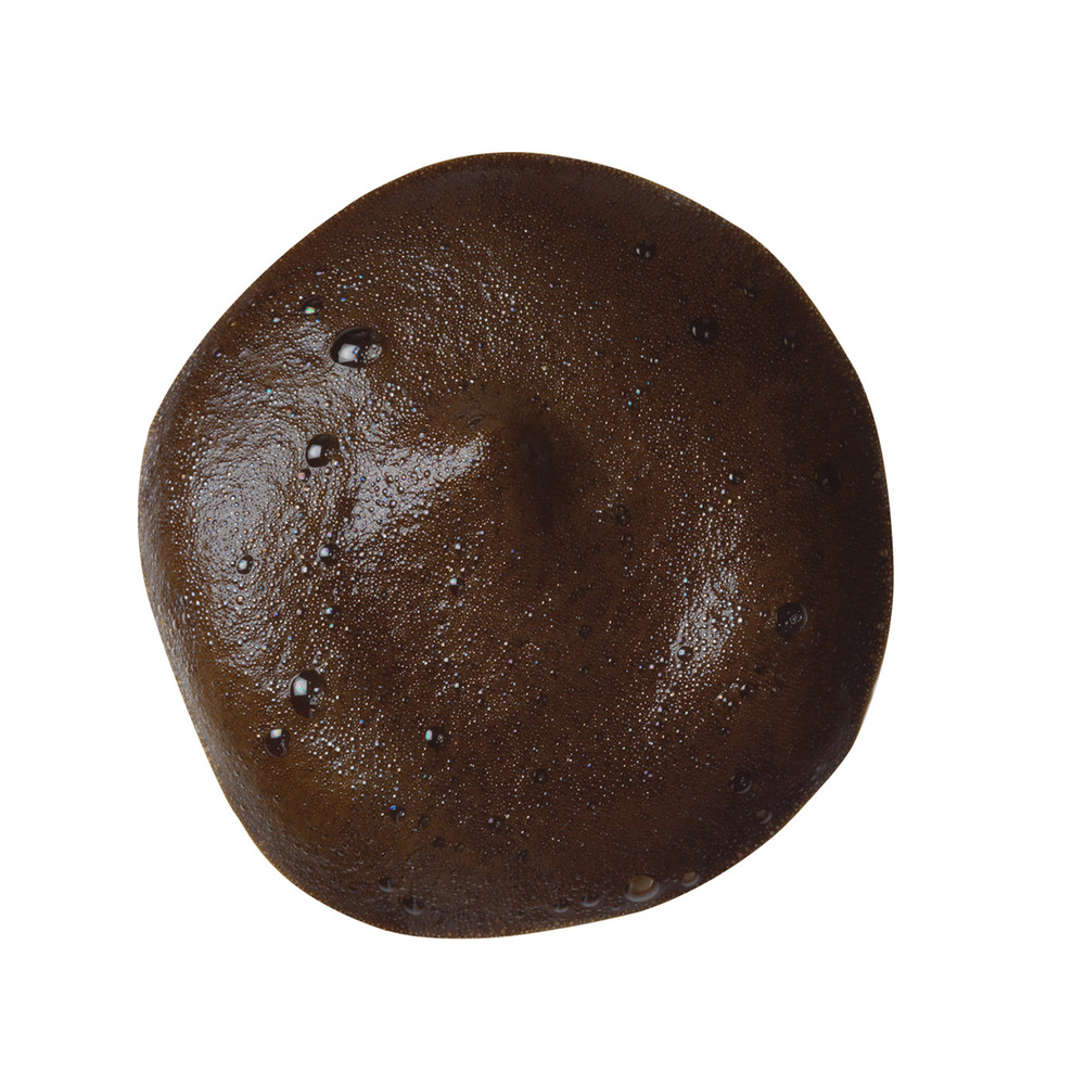 st tropez Self Tan Extra Dark Mousse de Bronzage Corps Soin Autobronzant Corps