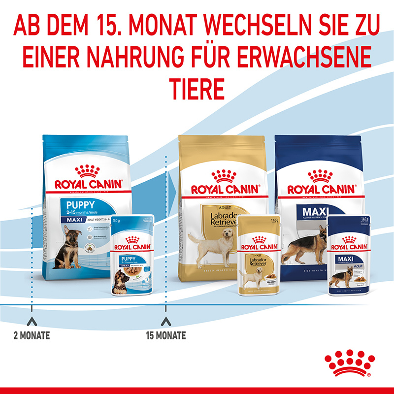ROYAL CANIN Hundenassfutter ROYAL CANIN Maxi Puppy 10x140g