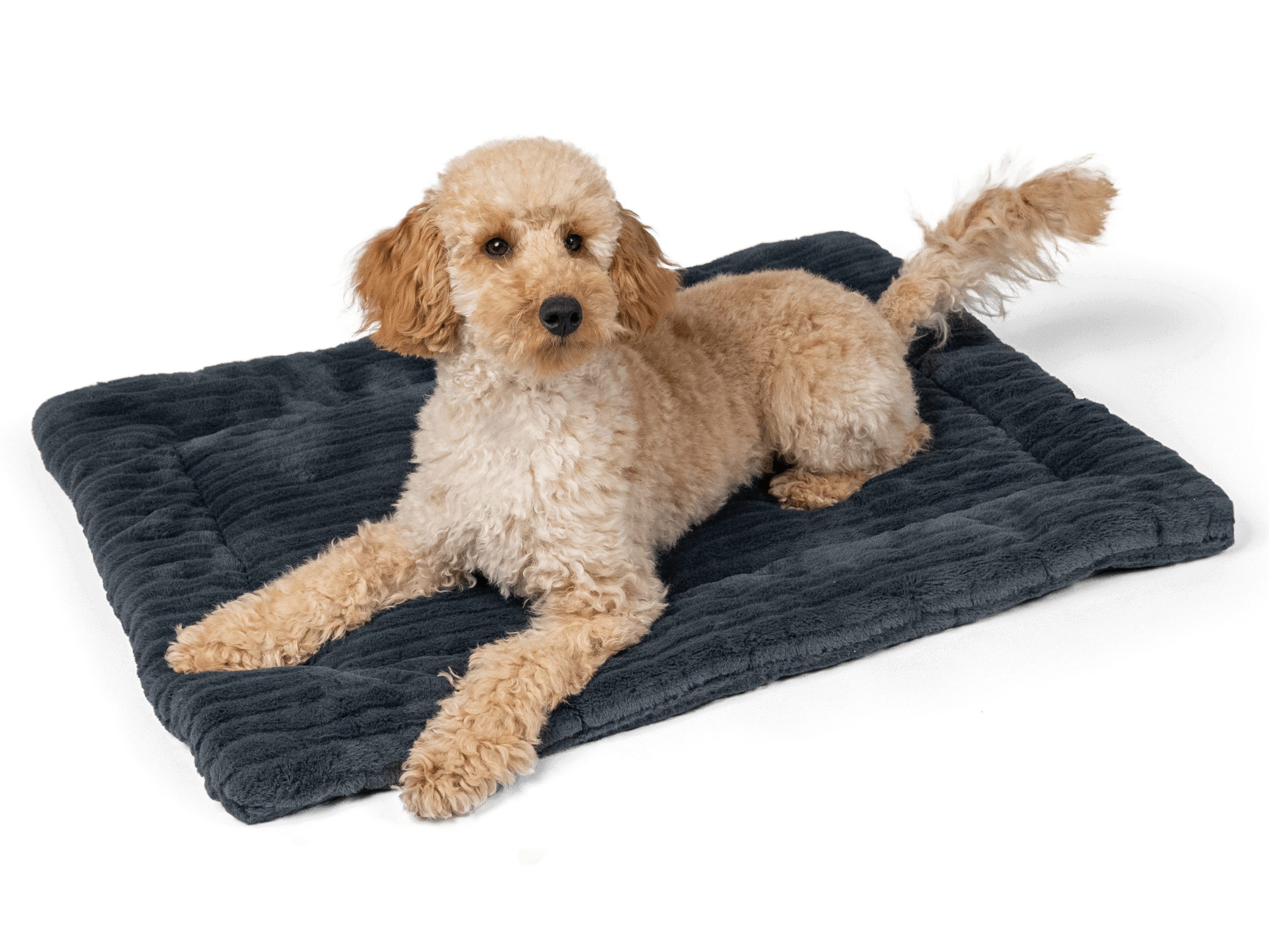 TrendPet Tierdecke Harmony anthrazit, gefütterte Decke, in verschiedenen Größen erhältlich