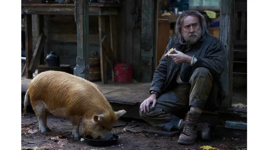 PIG