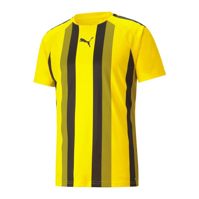 PUMA teamLIGA Striped Trikot Trikot Herren
