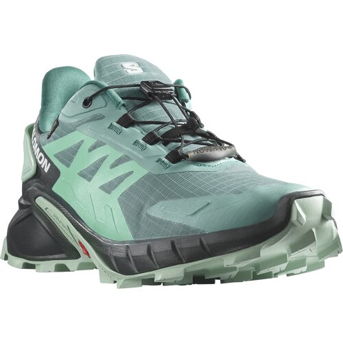 DAMEN TRAILRUNNINGSCHUHE SHOES SUPERCROSS 4 GTX W DUSTUR/INDINK/B