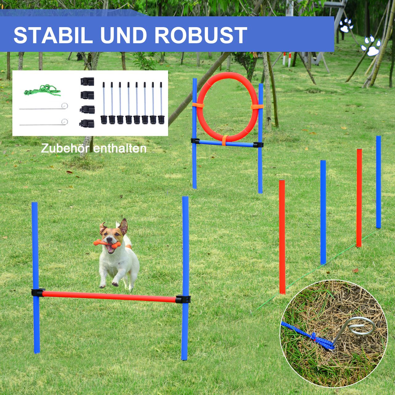 PawHut Agility-Übungs-Set Slalom-Hürden-Sprungring 3 in 1 Hundesport Trainingsplatz PE Blau Rot