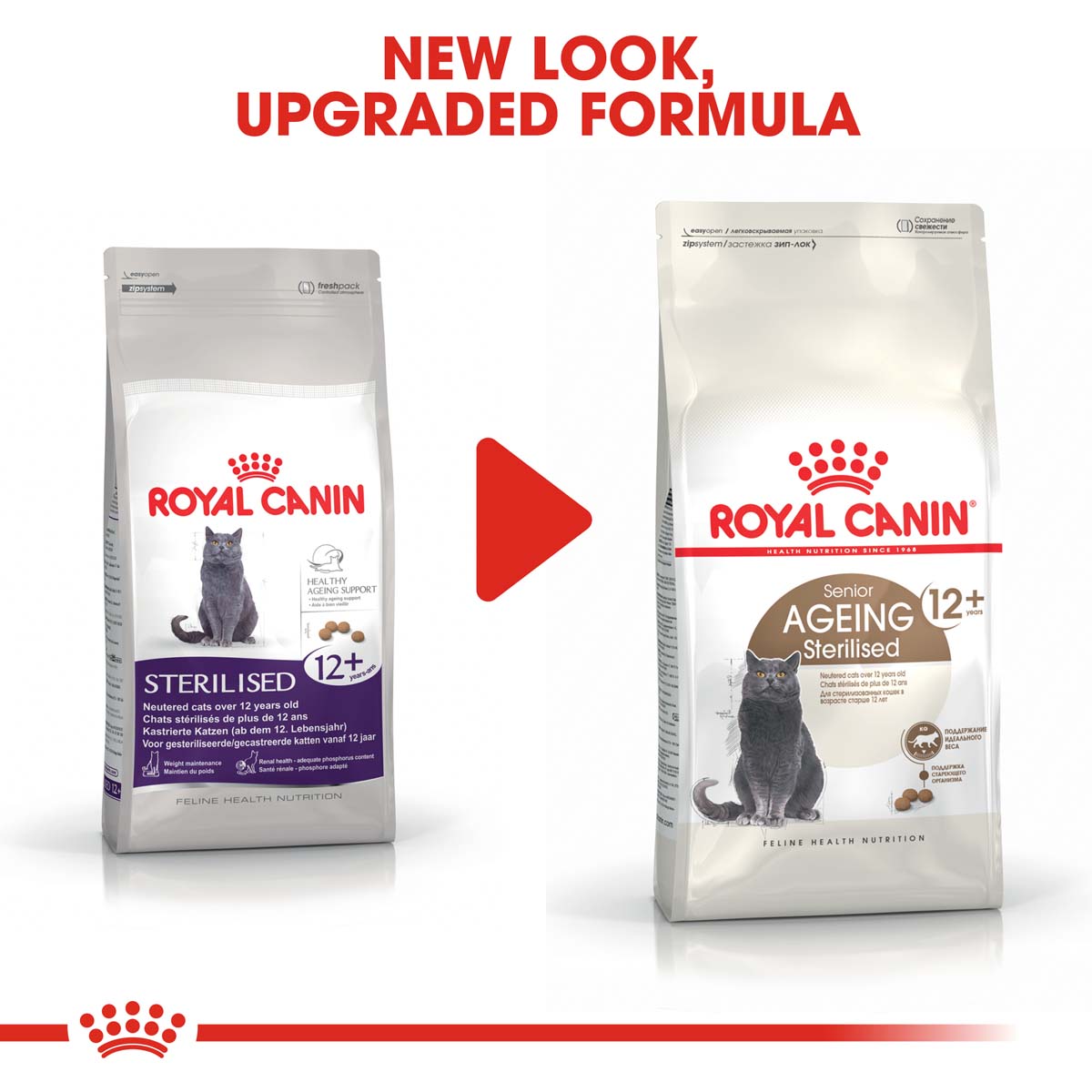 ROYAL CANIN AGEING 12+ Sterilised Trockenfutter für ältere kastrierte Katzen