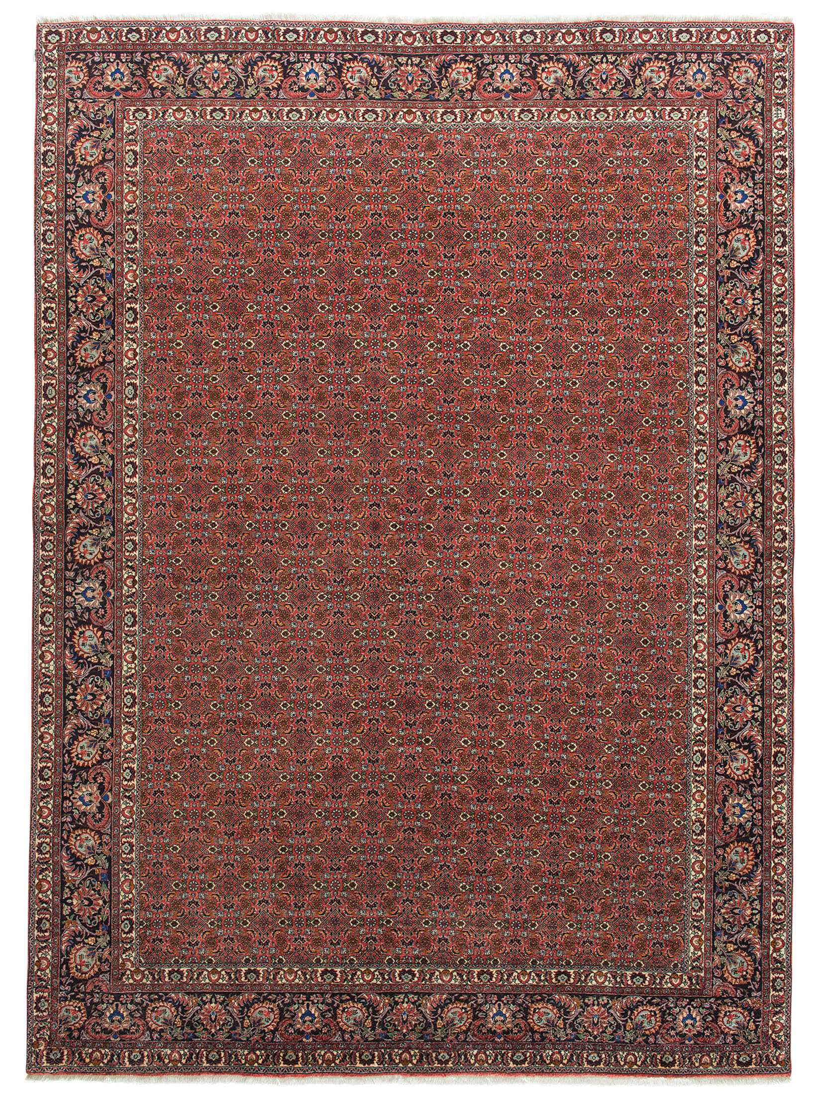 Bidjar Tekab ca. 250 x 348 cm, Unikat / Einzelstück