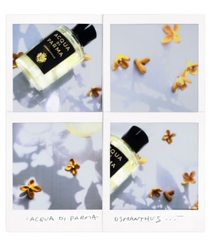 Acqua di Parma Signatures of the Sun Osmanthus Eau de Parfum-100 ml