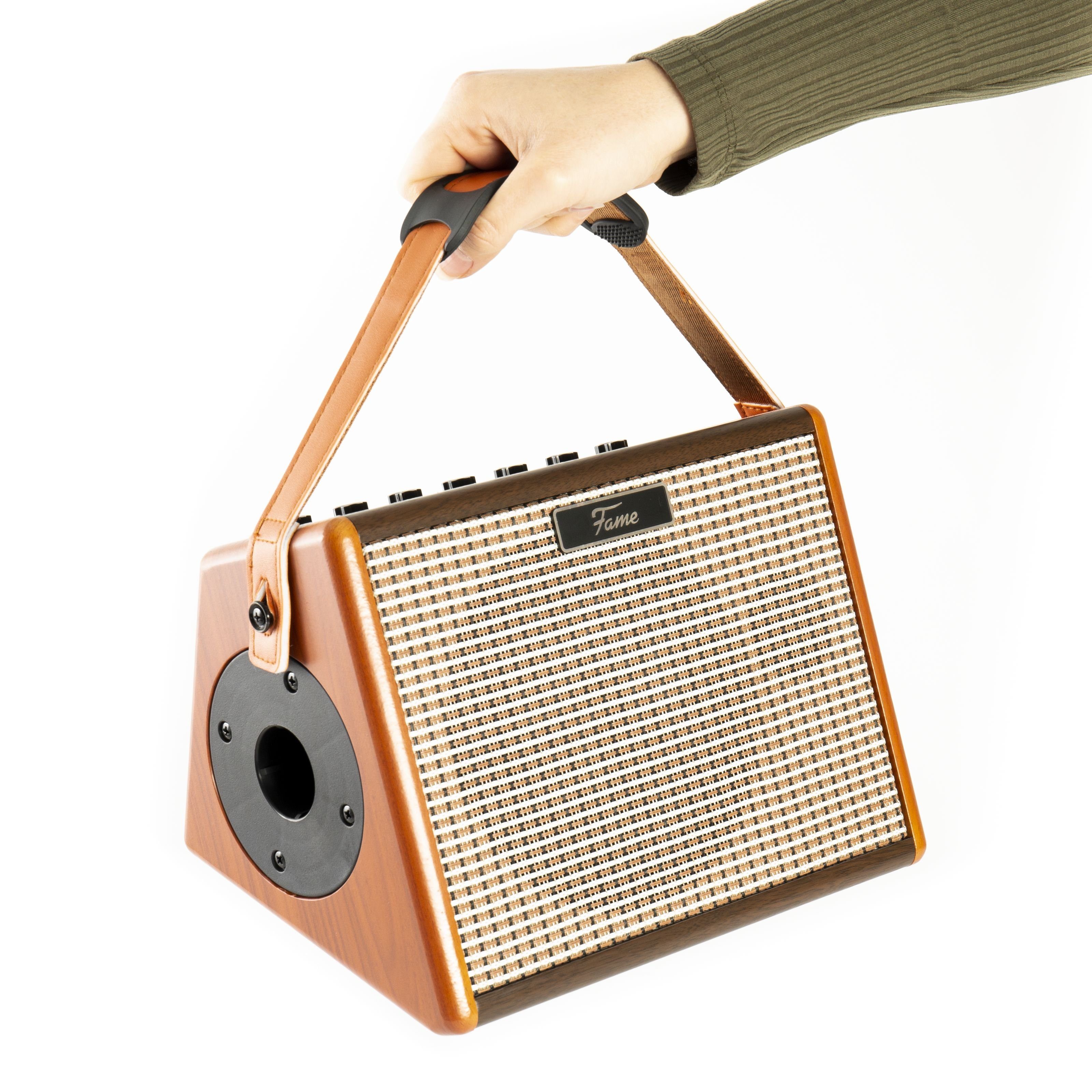 FAME Verstärker (AG-26A Akustikgitarrenverstärker, integrierter Akku, 2 separat regelb)